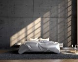 5 stijlvolle plekken in huis voor jouw Paradijsvogelplant