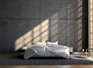 Blog over 5 stijlvolle plekken in huis voor jouw Paradijsvogelplant