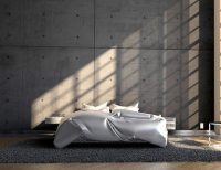 5 stijlvolle plekken in huis voor jouw Paradijsvogelplant