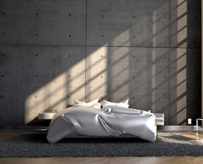 5 stijlvolle plekken in huis voor jouw Paradijsvogelplant